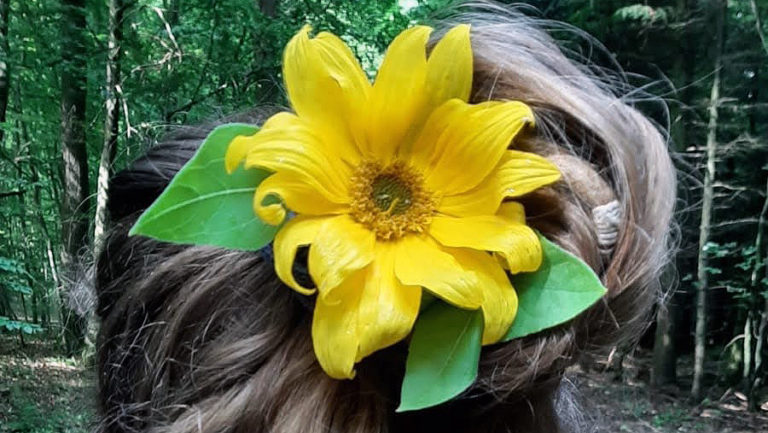 Das Problem mit dem Sonnenblumenöl oder warum ich Sonnenblumenöl meide