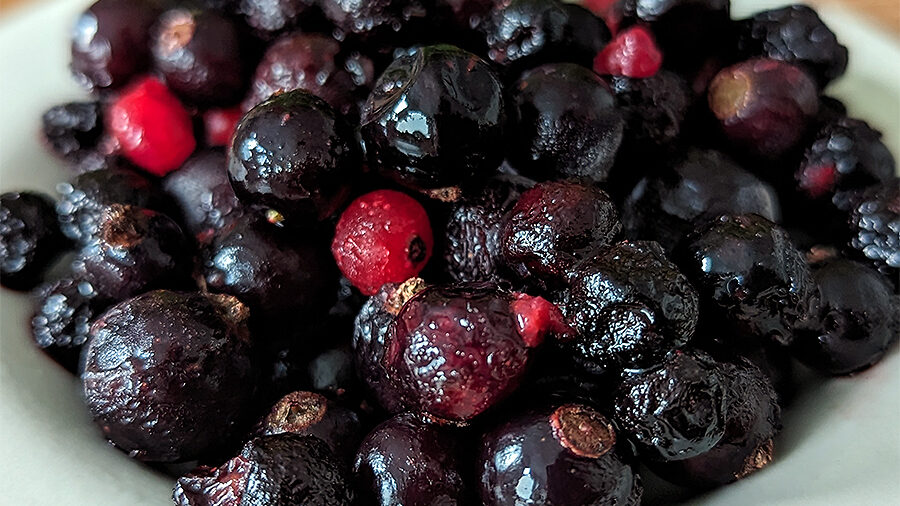 Schwarze Johannisbeeren im Nährstoffranking