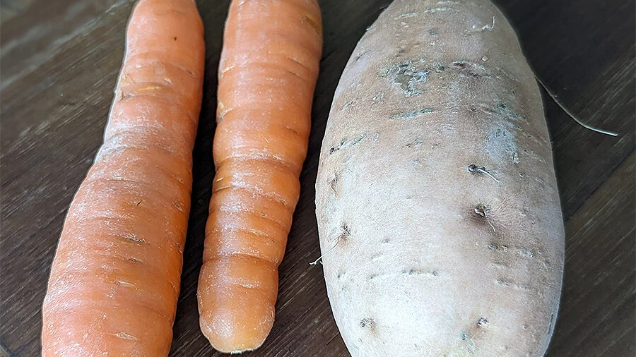 Möhren und Süßkartoffeln im Nährstoffranking