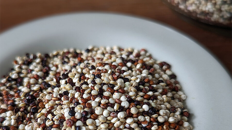 Quinoa und Amaranth im Nährstoffranking